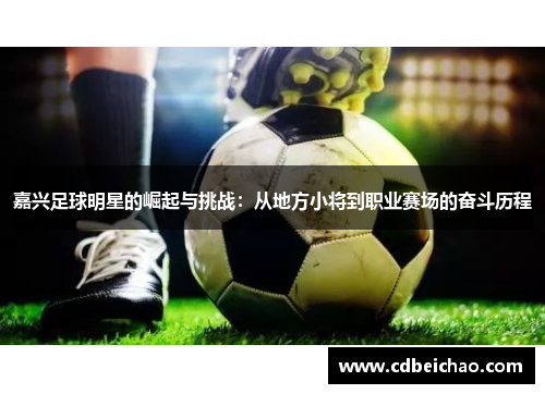 嘉兴足球明星的崛起与挑战：从地方小将到职业赛场的奋斗历程