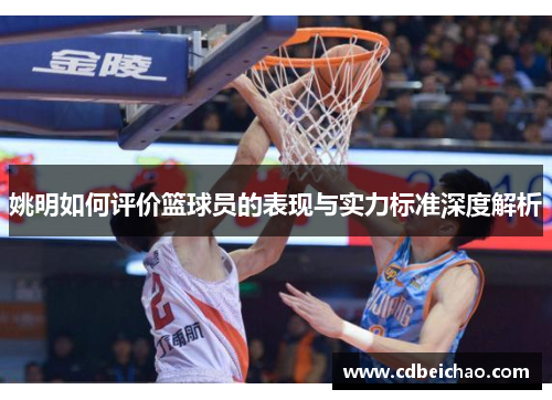 姚明如何评价篮球员的表现与实力标准深度解析