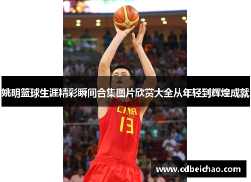 姚明篮球生涯精彩瞬间合集图片欣赏大全从年轻到辉煌成就