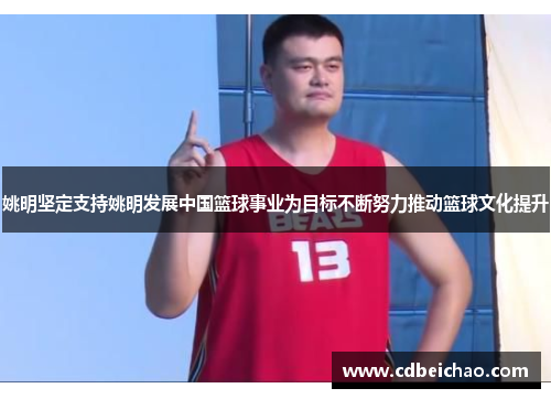 姚明坚定支持姚明发展中国篮球事业为目标不断努力推动篮球文化提升