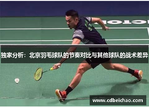 独家分析：北京羽毛球队的节奏对比与其他球队的战术差异