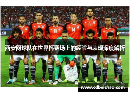 西安网球队在世界杯赛场上的经验与表现深度解析