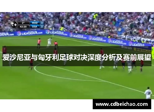 爱沙尼亚与匈牙利足球对决深度分析及赛前展望